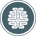 brain